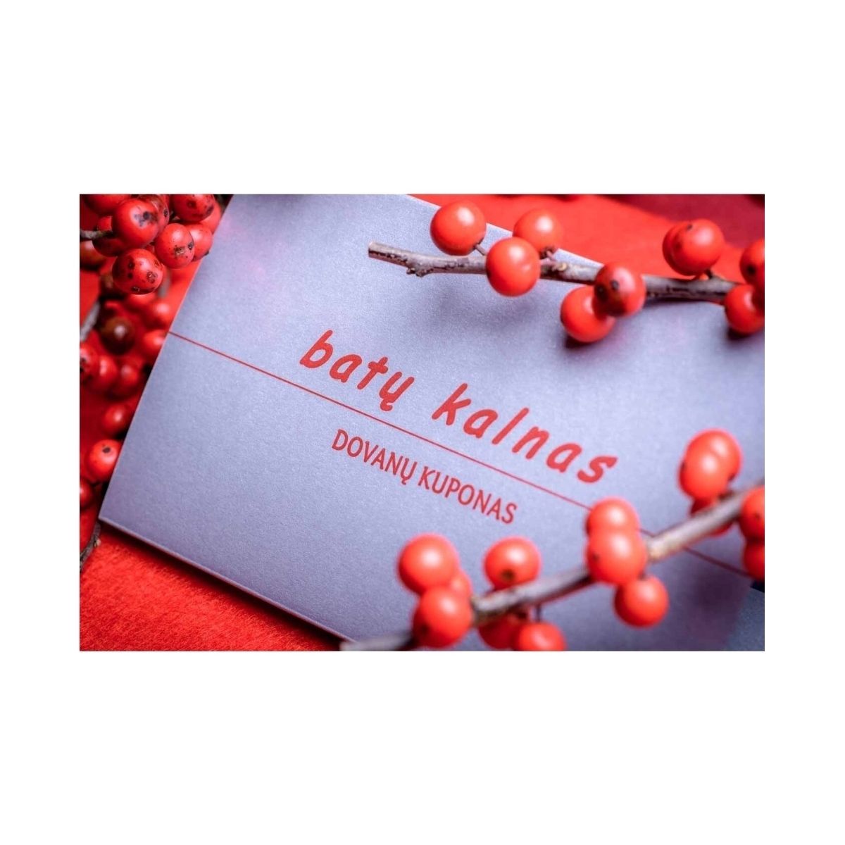 gift-coupon