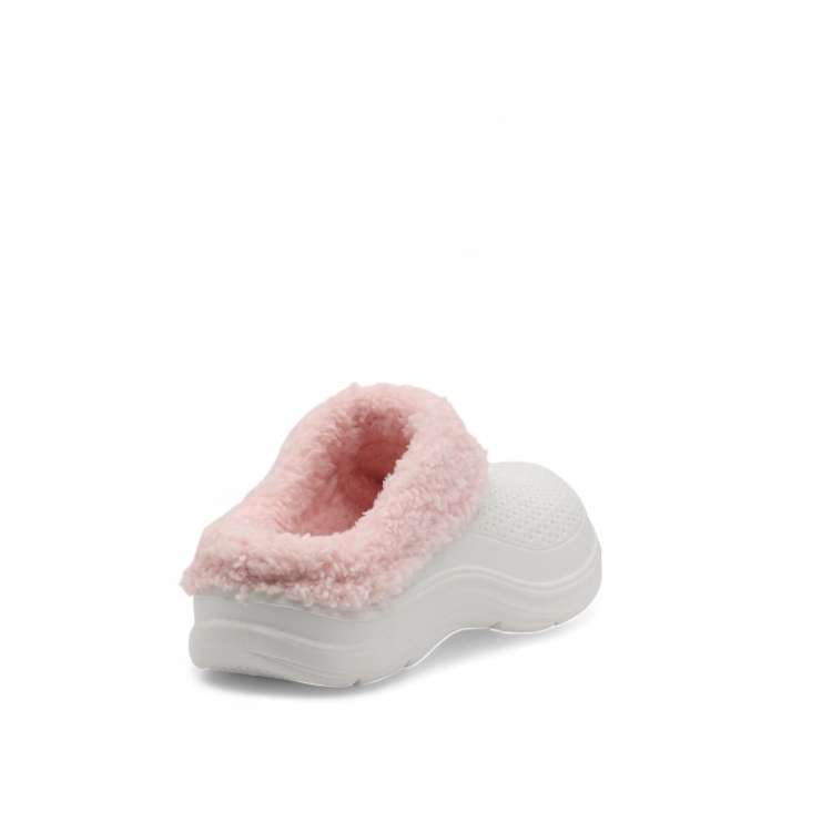 SCANDI