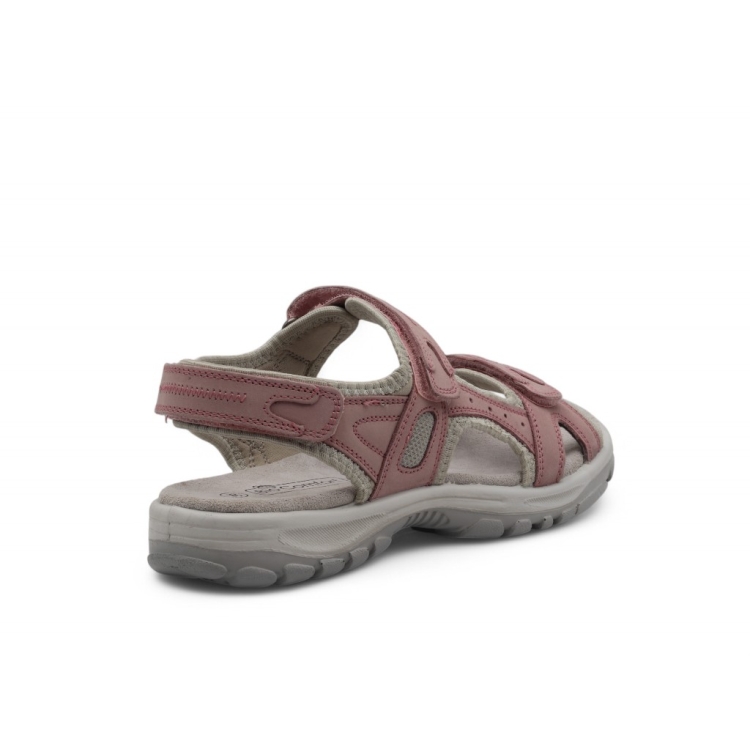 BIO COMFORT