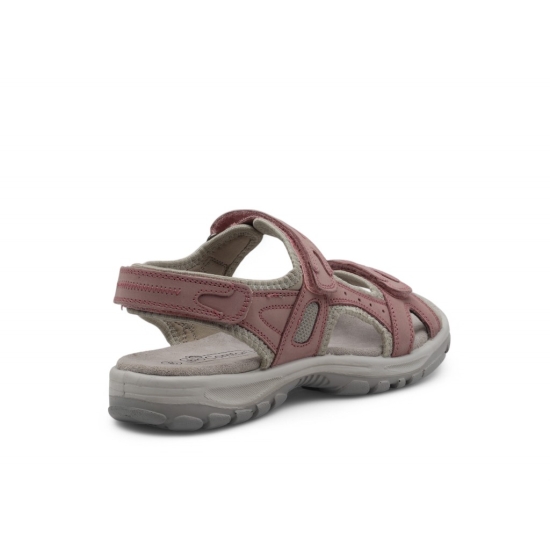 BIO COMFORT