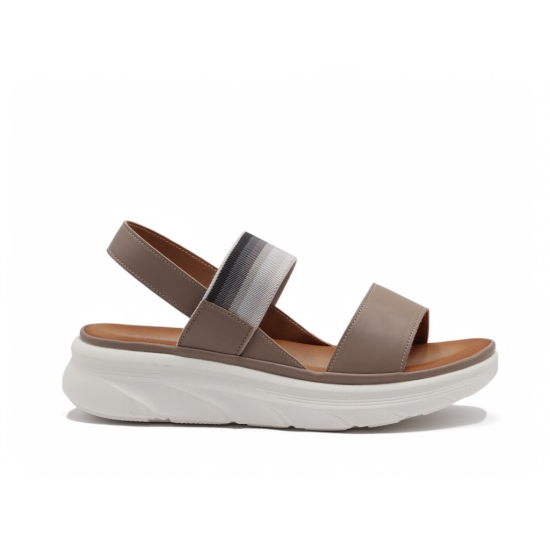 SCANDI