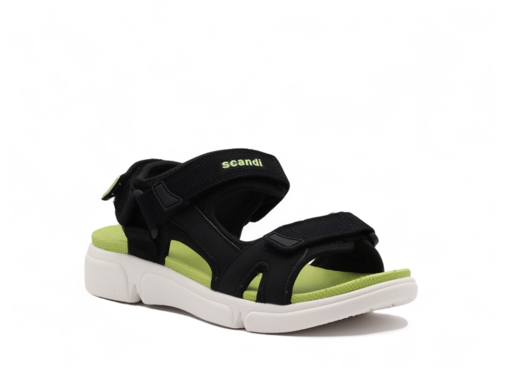 SCANDI