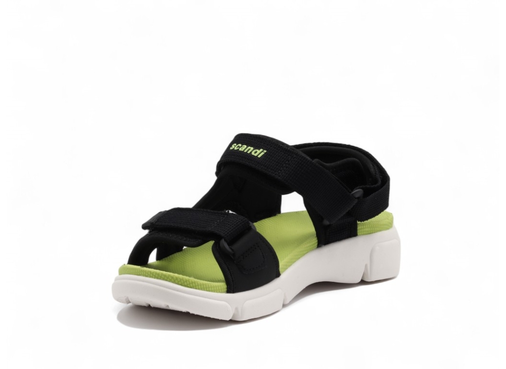 SCANDI