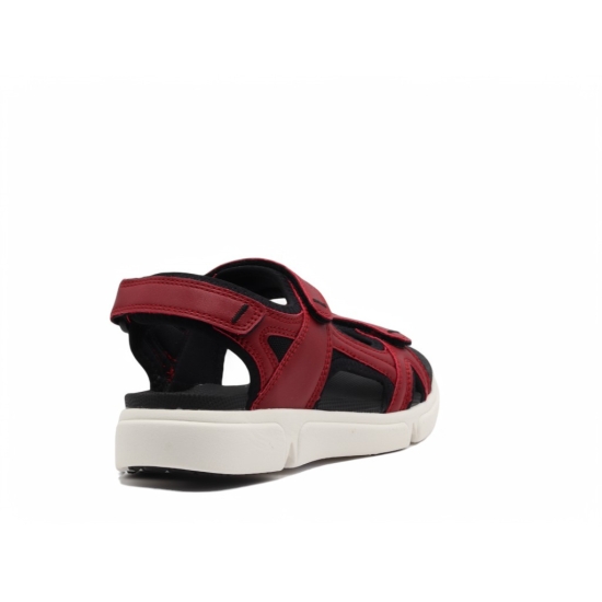 SCANDI