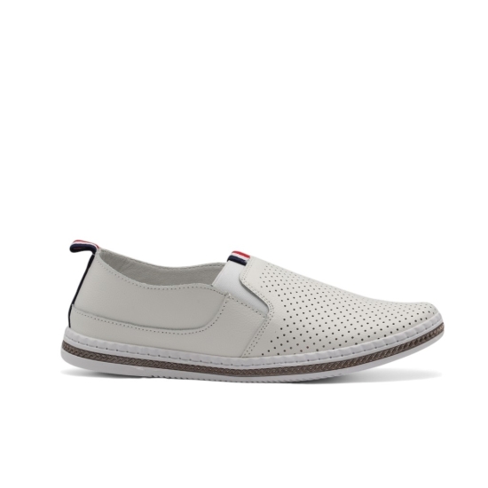 SCANDI