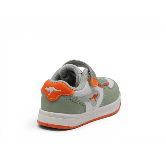KANGAROOS