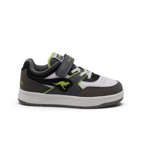 KANGAROOS
