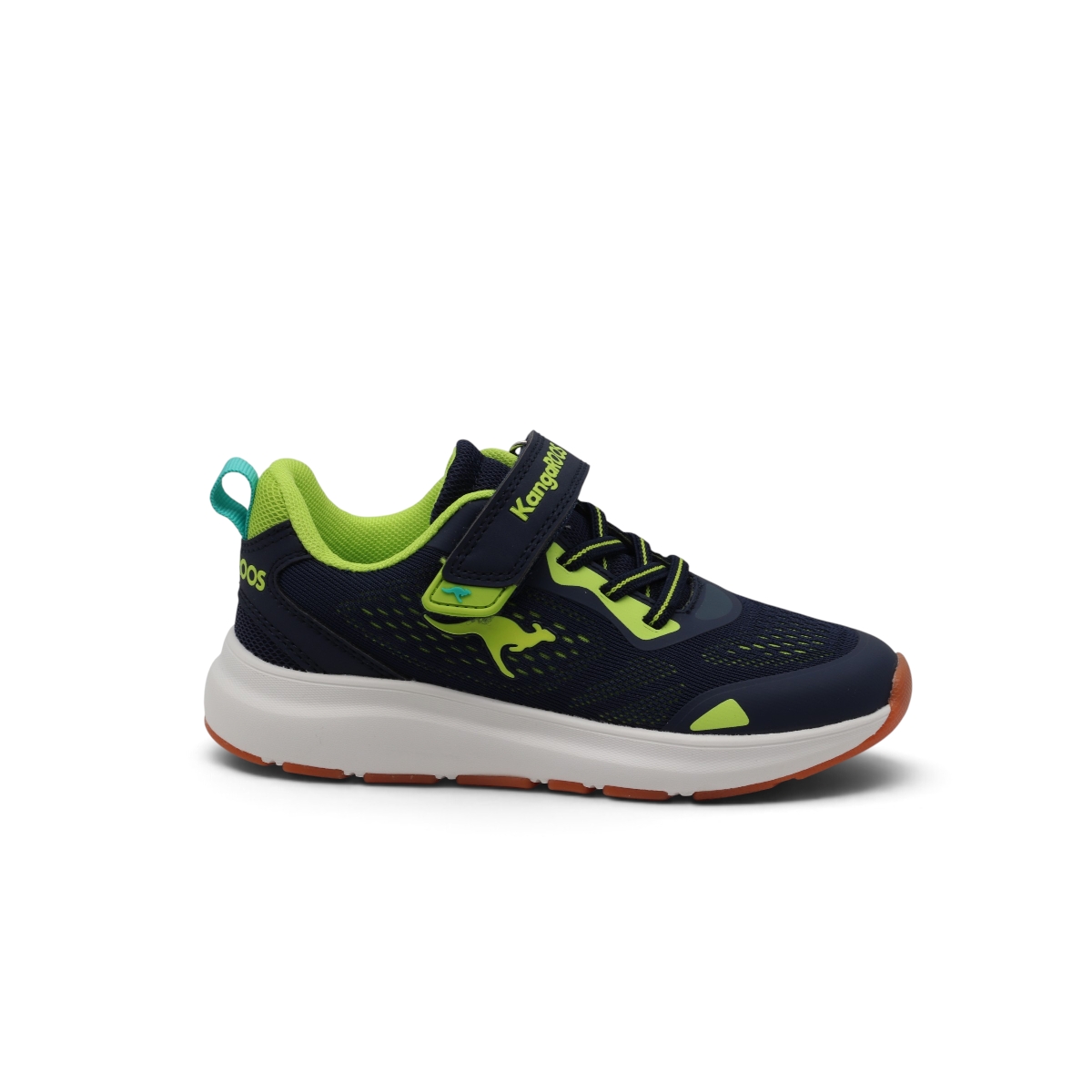 KANGAROOS